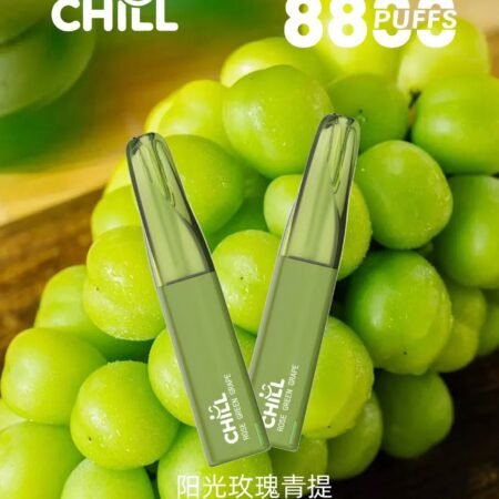 始祖鳥CHILL 8800口隨身小煙|高口數輸出×輕盈機身不用充電不用註油 鴨嘴獸CHILL 8800口
